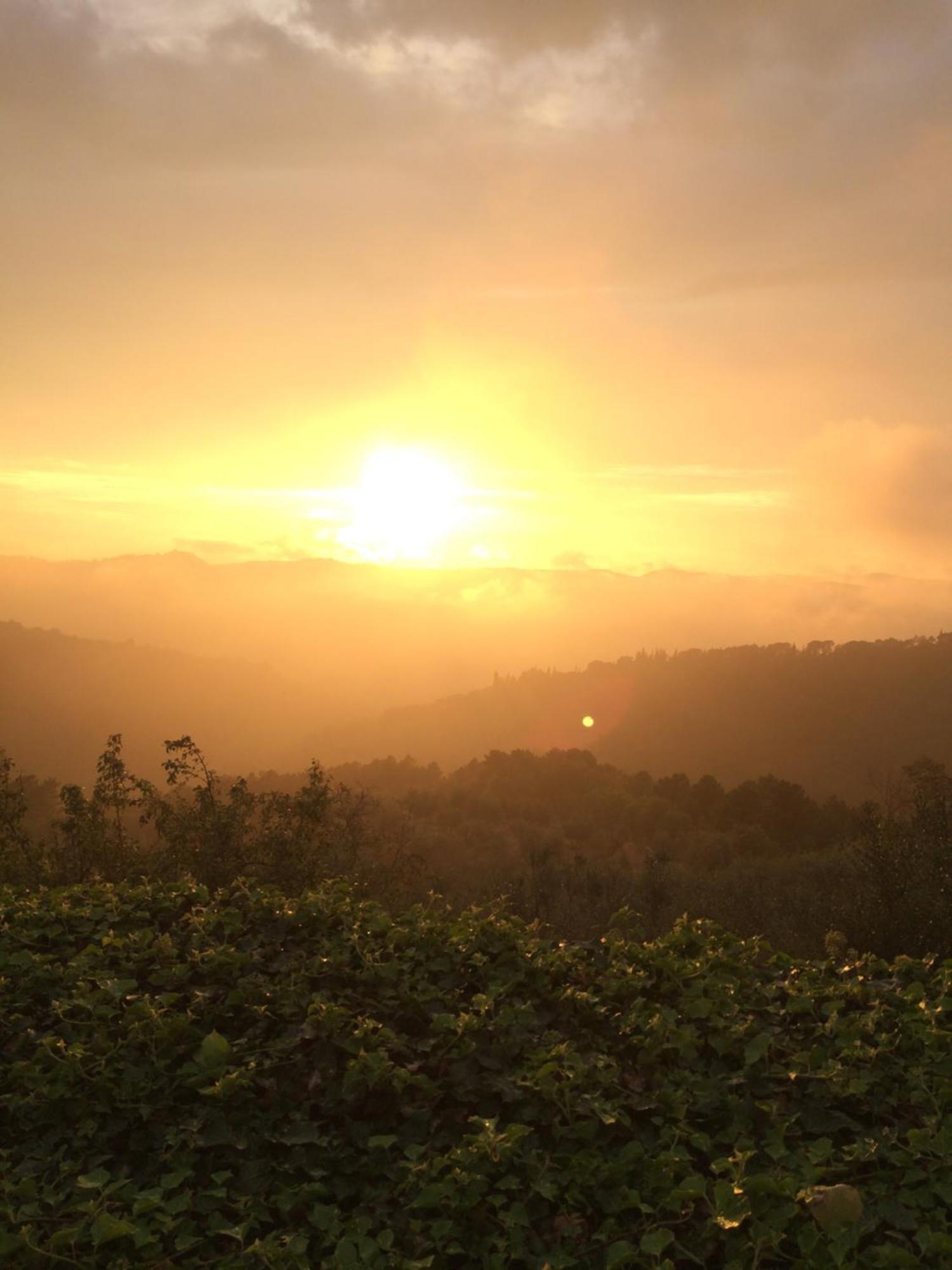 Podere Campolungo 基安蒂格雷夫 外观 照片