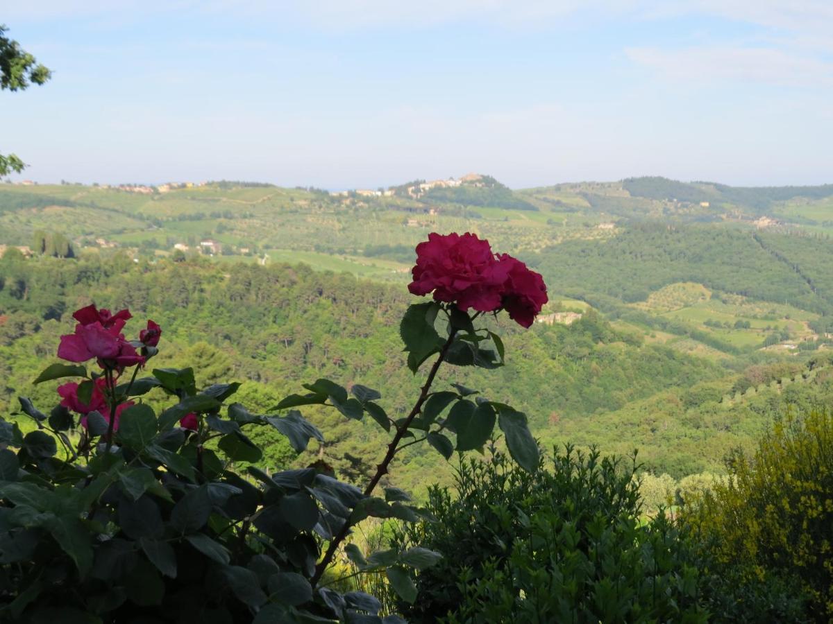 Podere Campolungo 基安蒂格雷夫 外观 照片